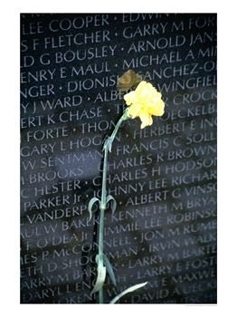 A yellow flower resting on the Vietnam War Memorial in Washington D.C.