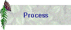 Process