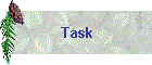 Task