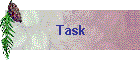 Task