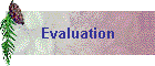 Evaluation