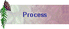 Process