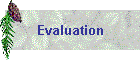 Evaluation