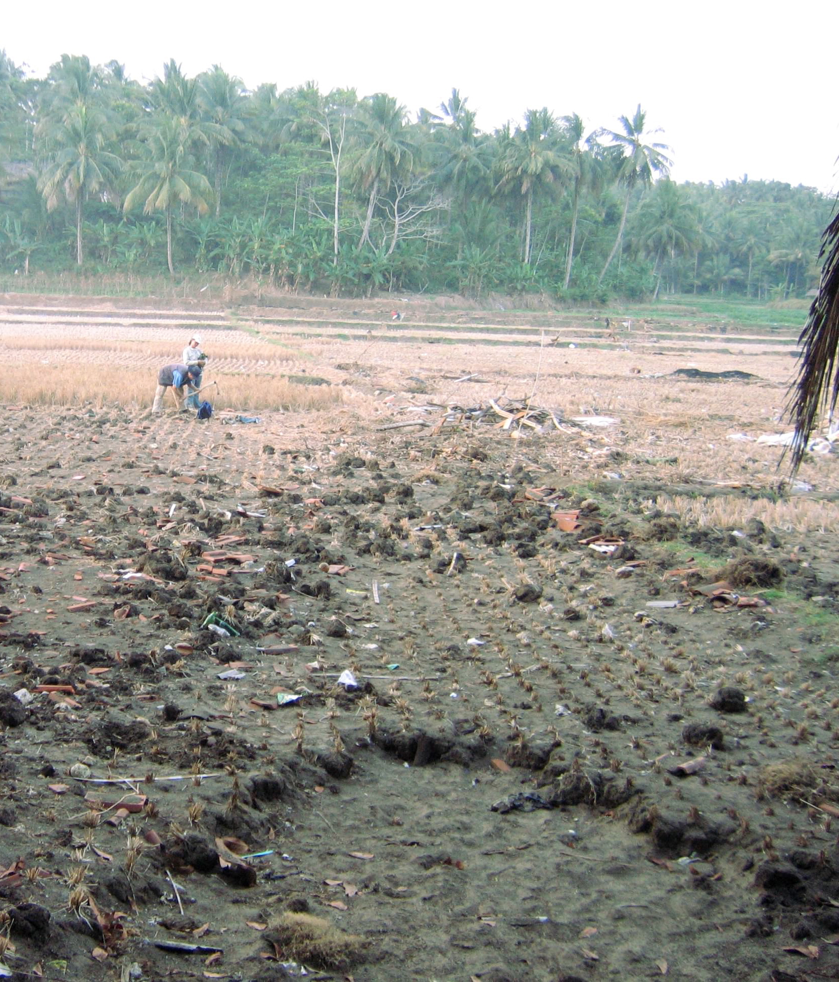 James Goff and Kenia Kalsum sample deposits near  Karapyak. View inland shows erosion of padi field grading to inundation only inland.