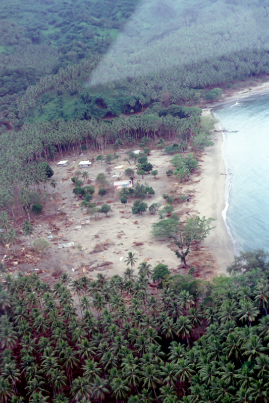 Baie Martelli after the tsunami