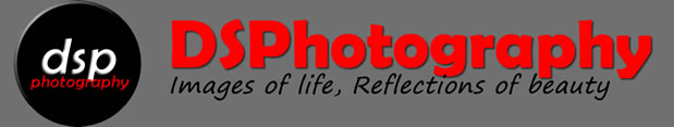 DSPhotography Logo