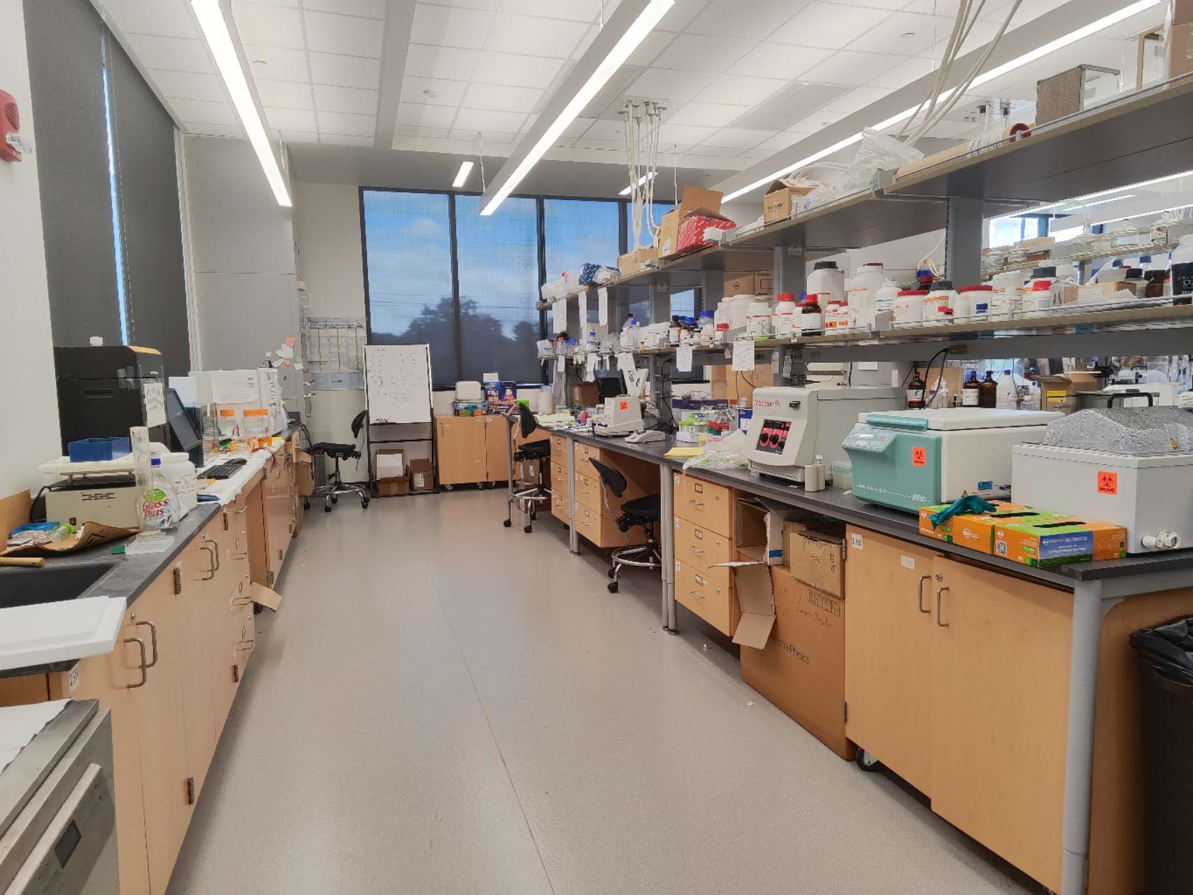 Lab image