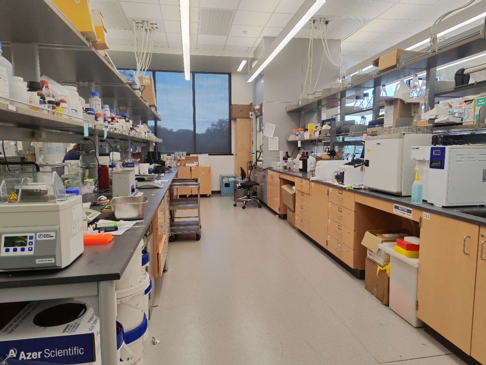 Lab image