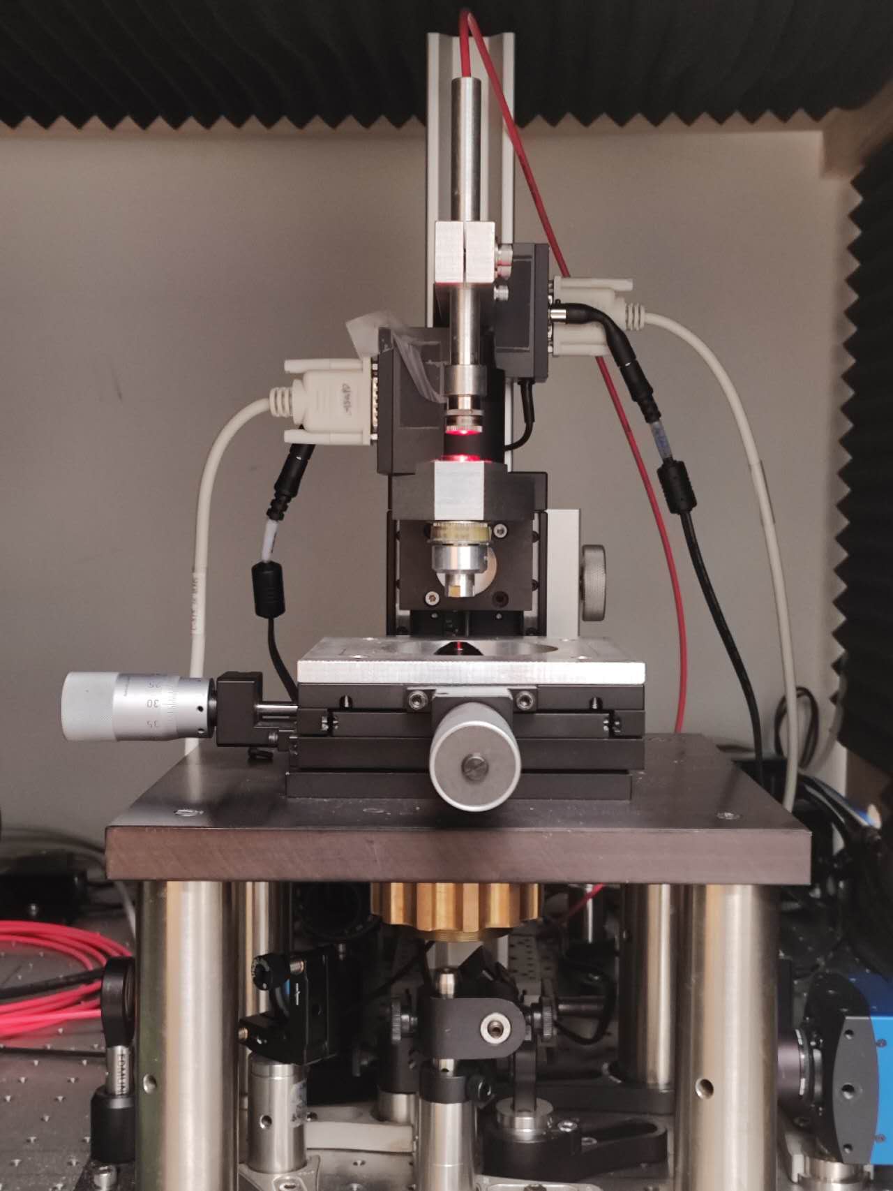 Lab image